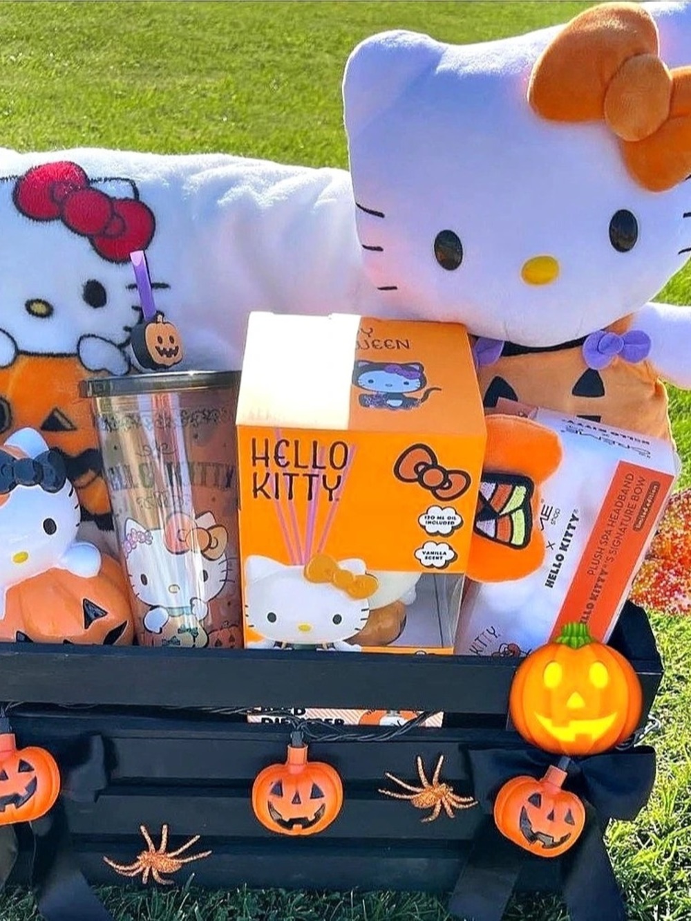 Custom boo basket-large